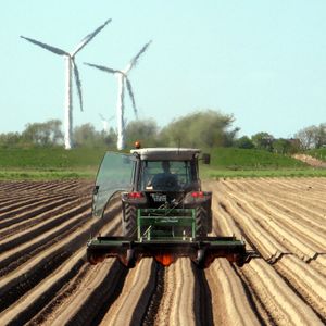 독일 디트마르센(Dithmarschen)의 감자밭에서 잡초 제거기를 이용한 무농약 열처리 잡초 제거