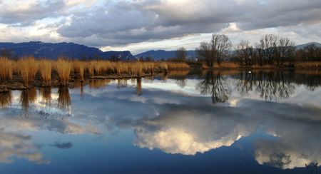 수체 천이 군집