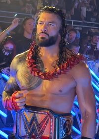 로만 레인즈는 언디스퓨티드 WWE 유니버셜 챔피언십 벨트(2023–현재)를 가지고 있다.