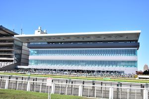 메모리얼 60 스탠드