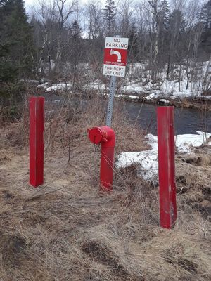 버몬트주 시골 지역 패섬식 강 근처의 건식 소화전