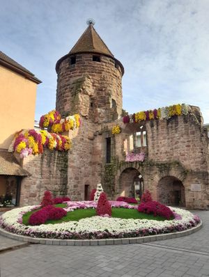 라어의 크리산테마 기간 중 슈토르헨투름