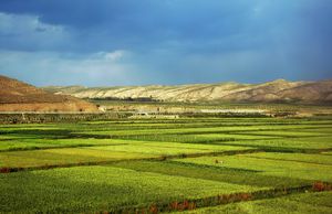 우위 근처의 비옥한 들판