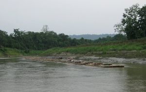 카르나풀리 제지 공장, 캅타이, 랑가마티로의 대나무 운송