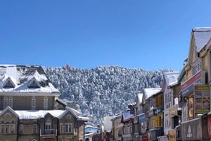 겨울철 신선한 눈이 내린 후 심라의 몰로드