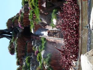 도쿄 디즈니랜드의 스플래시 마운틴 놀이기구는 남부의 노래를 기반으로 한다.