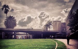 지붕이 있는 광장(Plaza Cubierta)은 콘크리트로 덮인 물결치는 보도가 있는 열린 공간입니다. 여러 예술 작품이 야외에 있으며, 콘크리트에 설계된 틈새를 통해 조명됩니다.