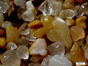 석영 모래 입자와 해변의 조개껍질 조각. 전형적인 해변 모래의 주요 구성 요소는 석영 또는 이산화규소(SiO2)이다.