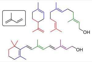 테르펜류 중 카르보닐기나 히드록시기 등의 작용기를 가진 유도체는 테르페노이드라고 불리며, 이소프렌(좌상)을 기본 단위로 구성된다.