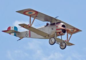 제1차 세계 대전 당시 프랑스의 뉴포트 17의 큰 날개 원형 마크