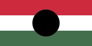 라코시 시대 문장이 잘려나간 이 깃발은 1956년 헝가리 혁명의 상징이 되었다.