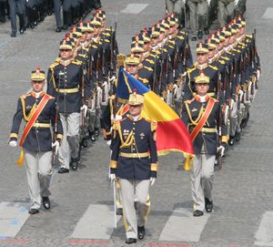 모서리에 국장과 무기 표시가 없는 군기. 행진 중에 기수는 인물에 관계없이 군기를 45도 각도로 숙여 경례한다. 묘사된 병사들은 파리의 2007년 바스티유의 날 군사 퍼레이드에 참가한 Mihai Viteazul 30호 명예 근위대 소속이다.