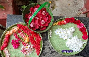 아침에 힌두교 신을 숭배하기 위해 모은 꽃(서벵골).