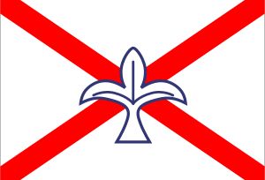 아일랜드 대륙선(1973–1978)의 선박기