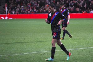 2014년 2월 에미레이츠 스타디움에서 아스널과의 경기에서 크리스탈 팰리스 소속으로 뛰는 샤마크