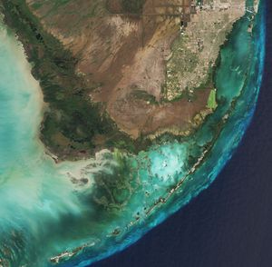 2019년 3월에 촬영된 에버글레이즈의 위성 사진