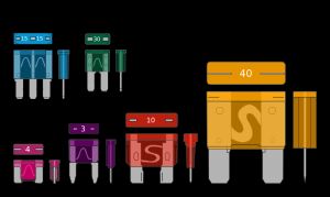 블레이드형 퓨즈는 마이크로2, 마이크로3, 로우프로파일 미니, 미니, 레귤러, 맥시의 여섯 가지 크기로 제공된다.