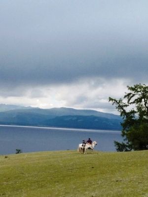 호숫가의 몽골 아랏