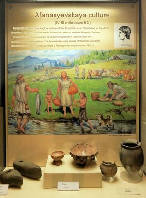 알타이 공화국 국립 박물관에 전시된 아파나시에보 문화 유물(번역)