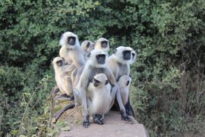 콘크리트 턱에 앉아 있는 가족