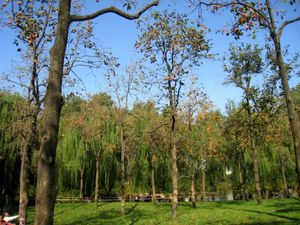 베이징 동물원 부지