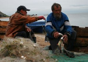 바이칼 어부들은 상업적으로 이용되는 15종의 물고기를 잡는다. 바이칼에서만 서식하는 옴룔(omul)이 어획량의 대부분을 차지한다.