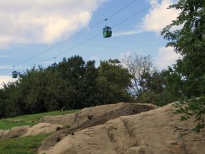 스카이파리 곤돌라