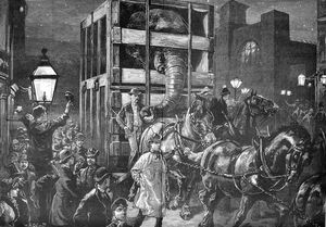 1882년 4월 1일자 더 일러스트레이티드 런던 뉴스의 점보의 부두로 향하는 여정