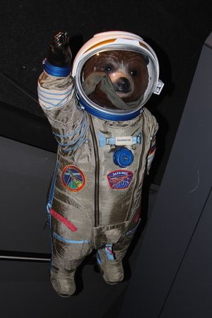 불럭의 우주를 테마로 한 패딩턴 베어 동상—"중력 베어"—는 런던에 전시되었으며, 아동학대방지협회 기금 마련을 위해 경매에 부쳐졌다.