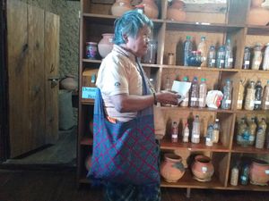 둥삼 종자 은행