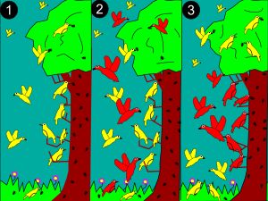 1: 더 작은(노란색) 종의 새가 나무 전체에 걸쳐 먹이를 찾는다.2: 더 큰(빨간색) 종이 자원을 두고 경쟁한다.3: 더 풍부한 자원을 위해 중간 부분에서 빨간색이 우세하다. 노란색은 새로운 생태적 지위에 적응하여 경쟁을 피한다.