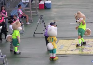 아키타견 형제와 미나