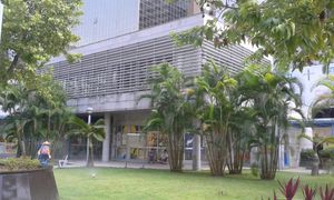 호 인 정원 도서관