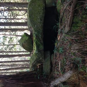 사카지리 1호분