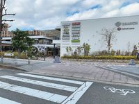 브랜치 마쓰이야마테