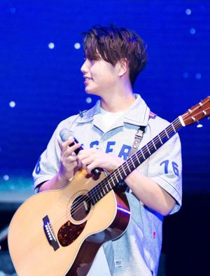 2016년 공연 중인 샘 김