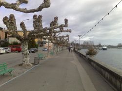 영화의 장면들은 제네바 호수의 니옹 호숫가에서 촬영되었다.