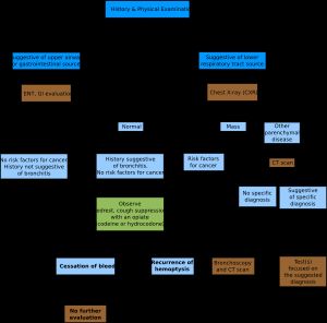 객혈 진단 접근법