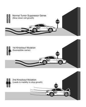 두 번 타격 가설 그림