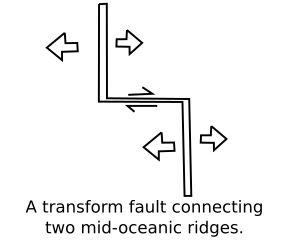일정한 길이의 확장 중앙