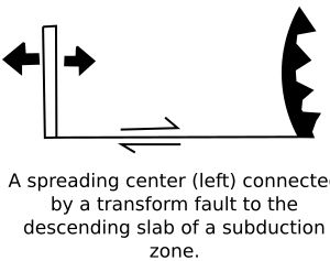 확장 중앙에서 하부 블록으로
