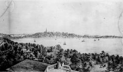 모노나 호 남쪽 기슭에서 바라본 매디슨 시가지(1855년)