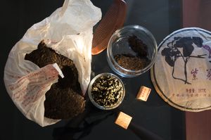 윈난성의 보이차