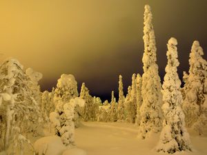 핀란드 스키장의 광공해로 인해 하늘이 뿌옇고 밝아진 모습