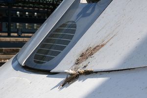 조류와 충돌한 ICE 3 고속열차