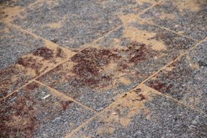 캄보디아 레스토랑 앞 피웅덩이(2015년 11월 14일 촬영)