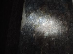 1819년 존 스미스가 10번 석굴을 발견한 후 새긴 이름과 날짜