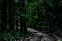 다람살라의 트레킹 코스