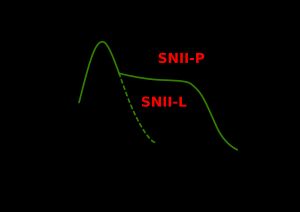II-P형과 II-L형 초신성을 분류하기 위해 광도곡선이 이용된다.