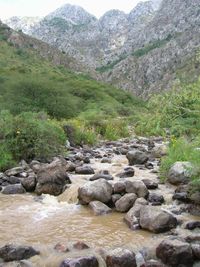 심켄트 교외에는 여름에도 눈을 볼 수 있는 4,000m 높이의 산들이 있다.